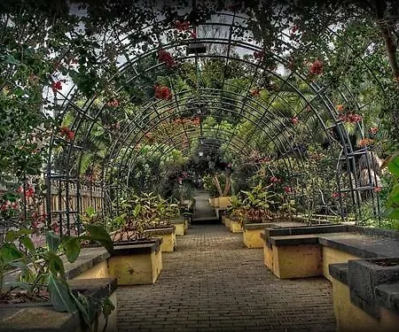 Loft Papapepe Apartment