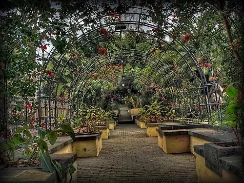 Loft Papapepe Lejlighed